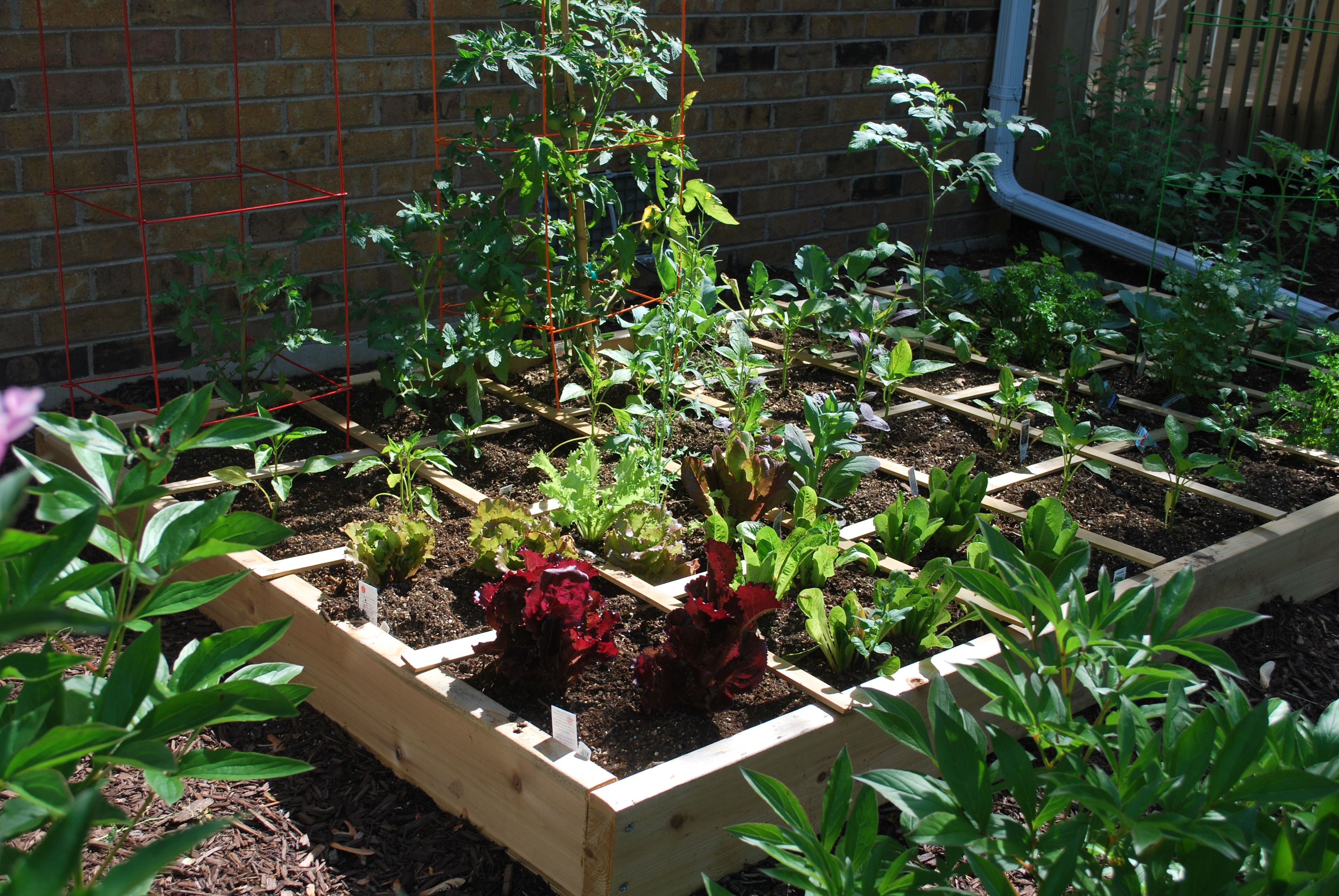 Great Square Foot Gardening Ideas Httpsmodernhousemagzcom