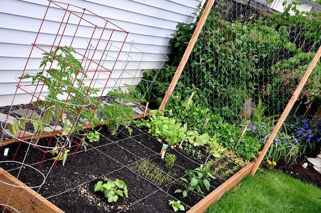 Square Foot Gardening Ideas