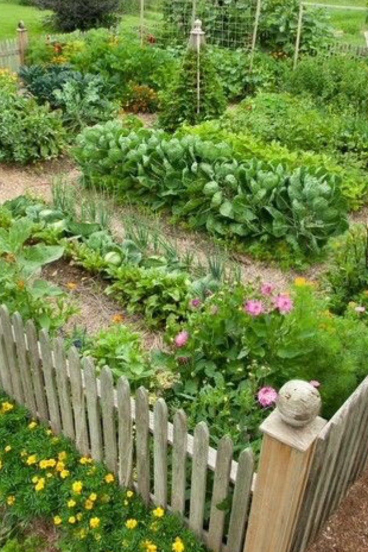 Three Sisters Garden Inspiration