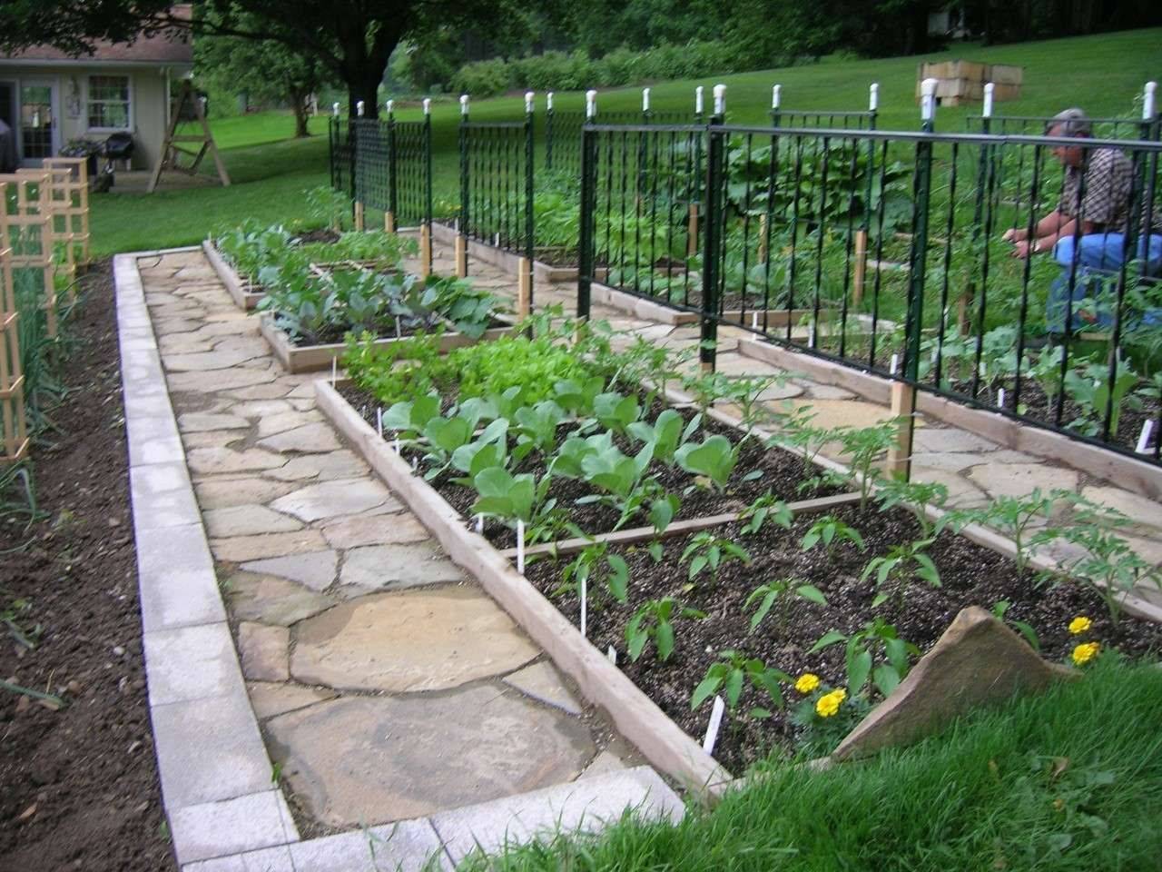 Great Square Foot Gardening Ideas Httpsmodernhousemagzcom