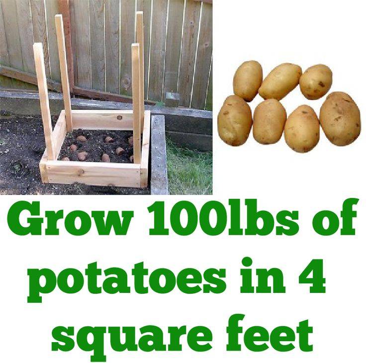 Aka Square Foot Gardening