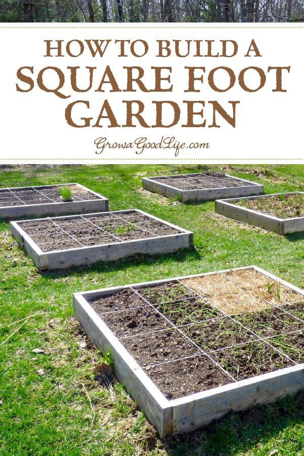 A Square Foot Garden Diy Garden Trellis