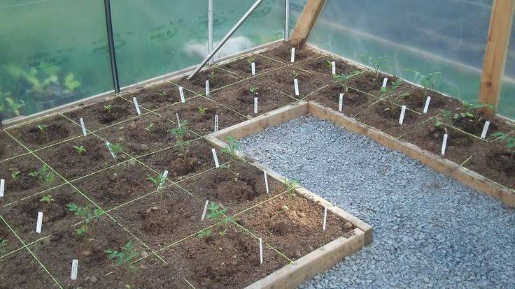 Square Foot Gardening