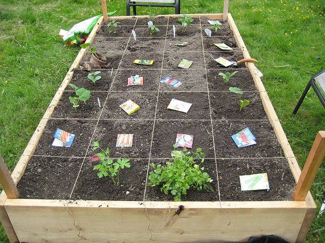 A Garden