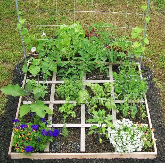 Pin On Square Foot Gardening