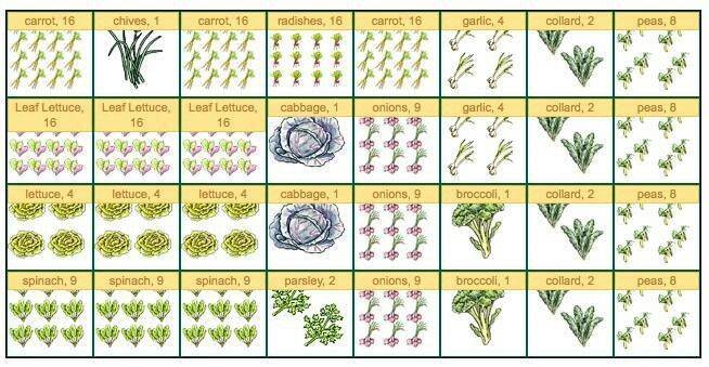 Square Foot Gardening Chart Square Foot Garden Plans
