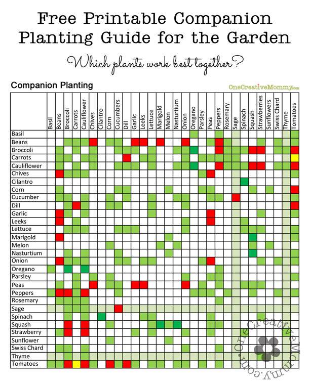 Square Foot Gardening Companion Planting Chart