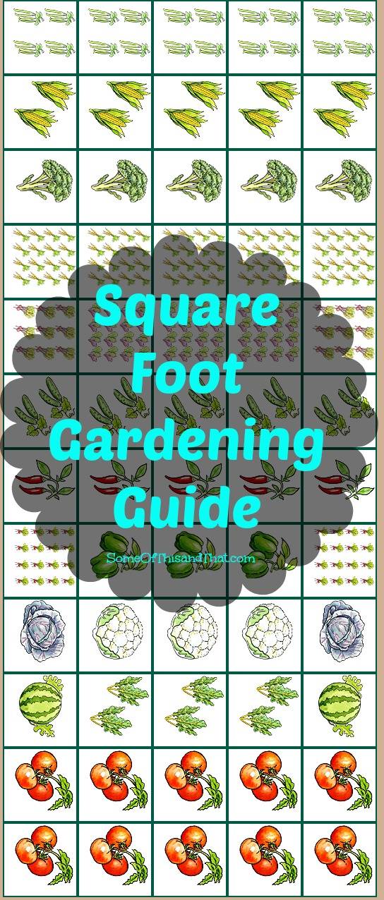 Squarefoot Garden Plan