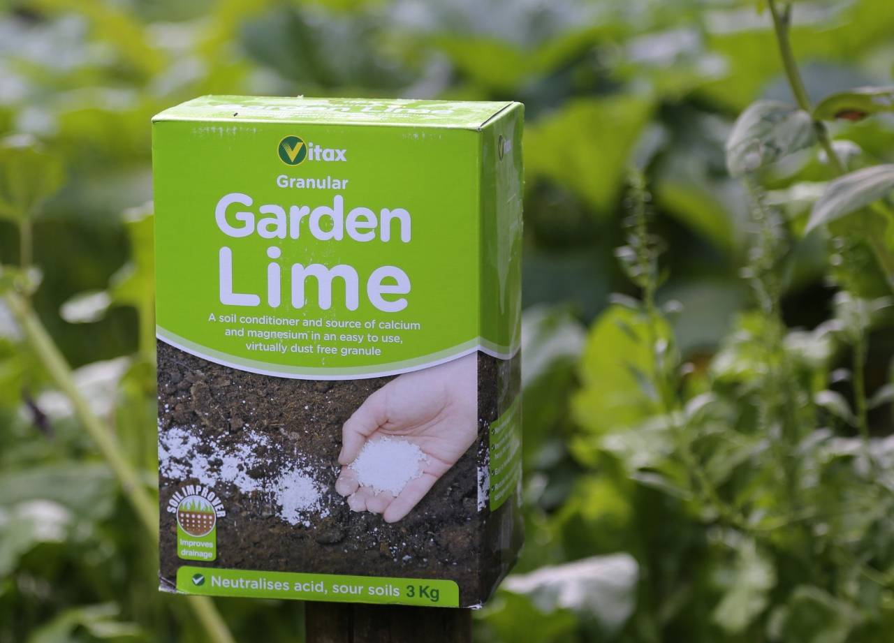 14 DayZ Garden Lime Ideas For This Year SharonSable