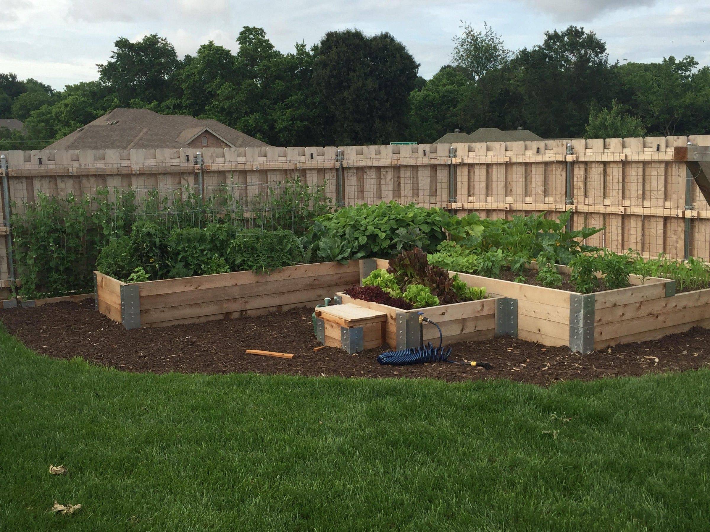 My Wicking Garden Bed