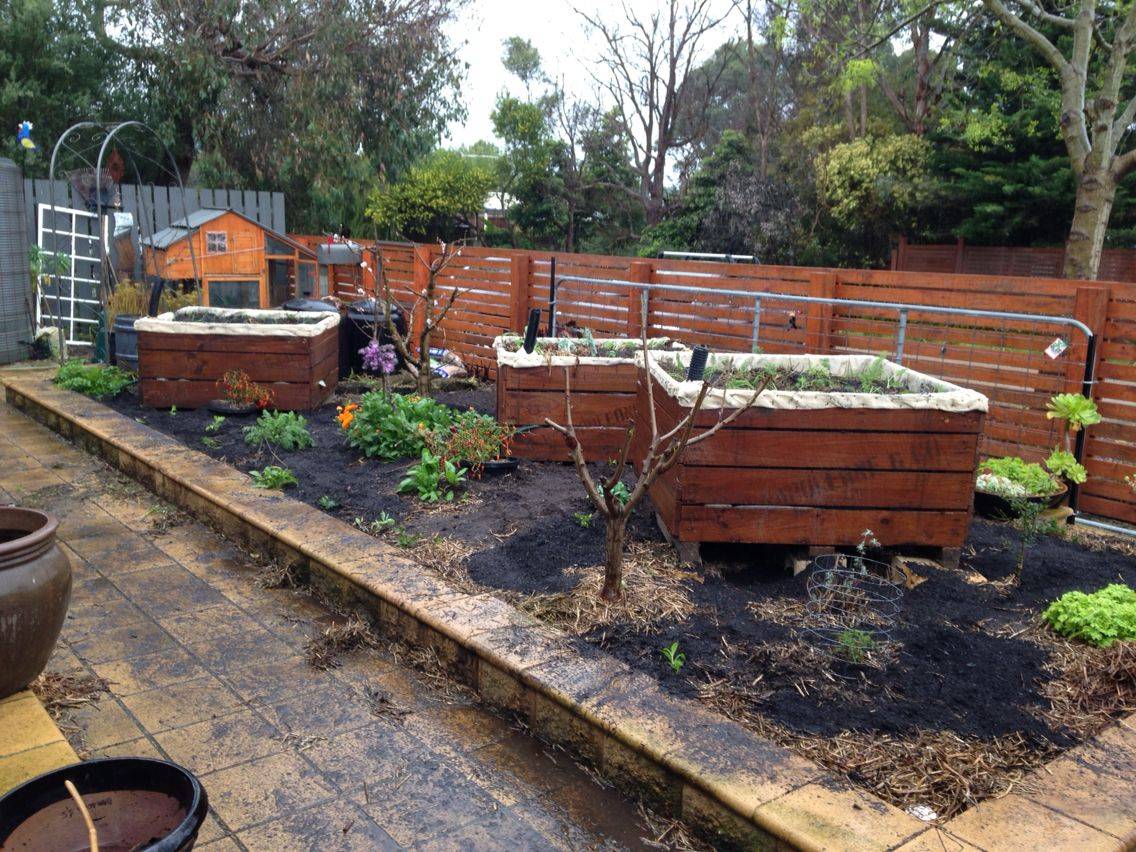 Gravel Wicking Bed Full Water Overflowing