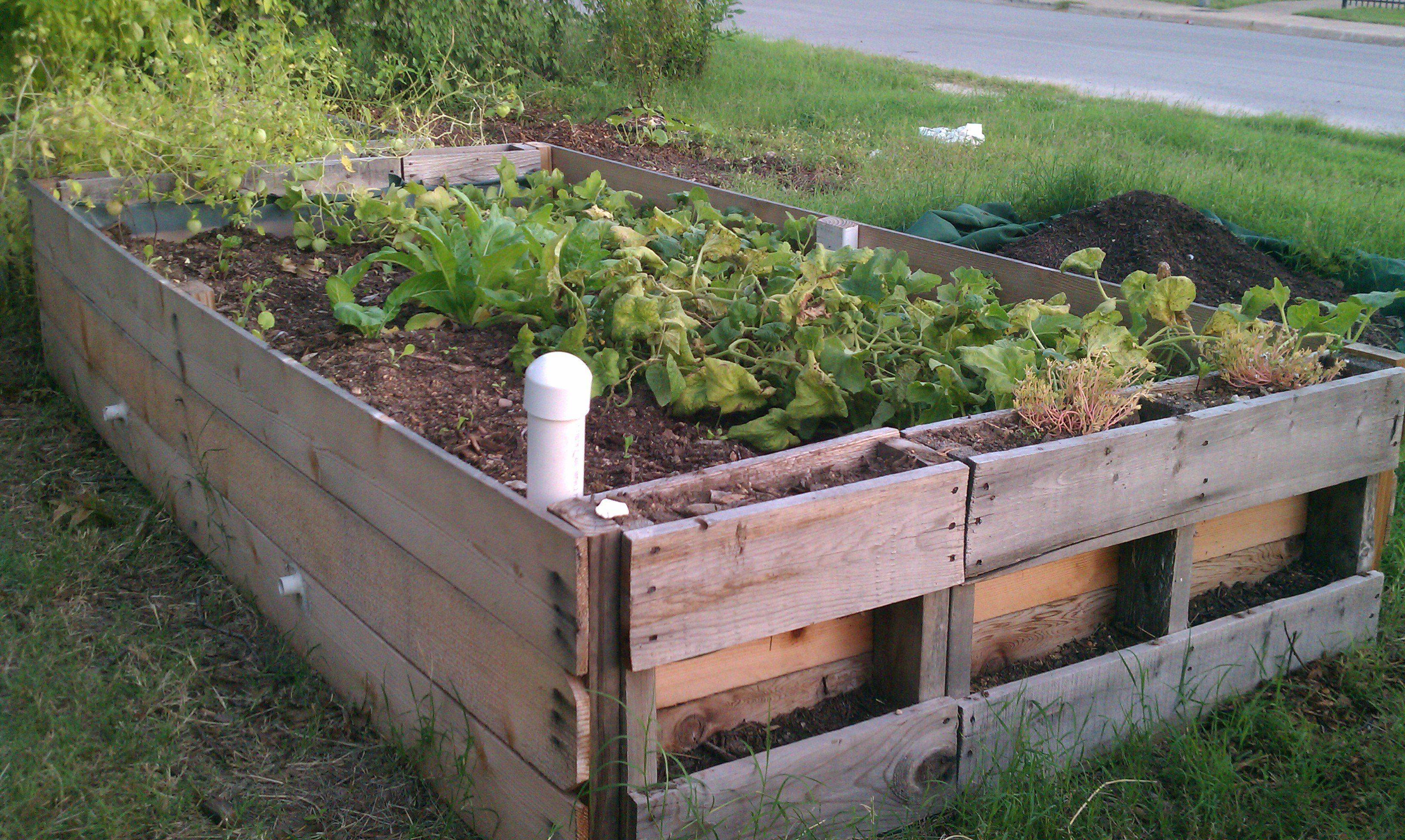 Raised Bed Wicking Garden