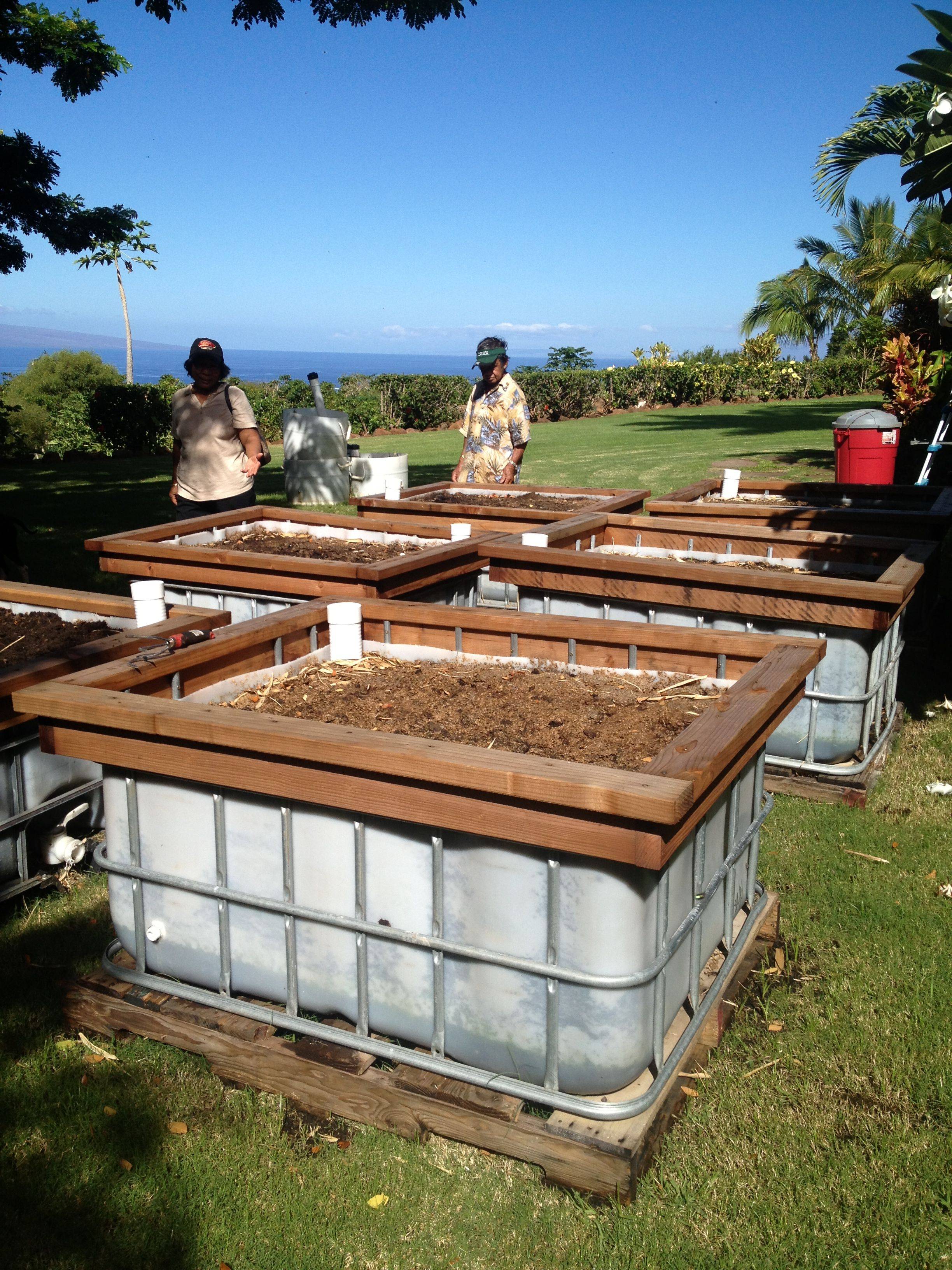 Our X Wicking Bed