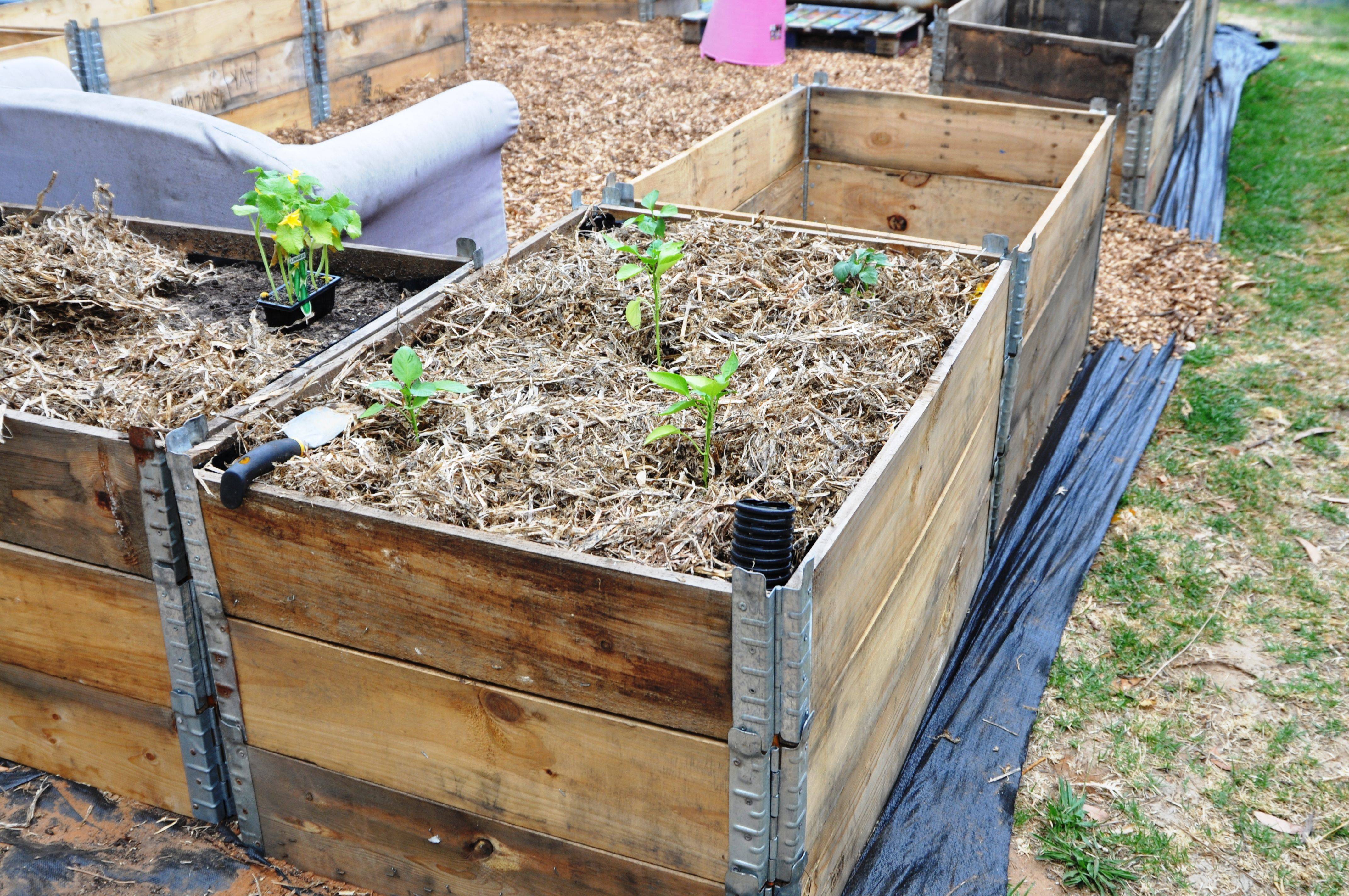 Wicking Garden Bed