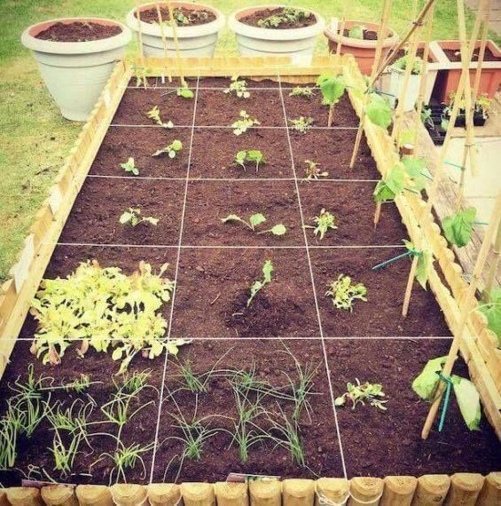 Square Foot Gardening Trellis Garden Design Plans Layout