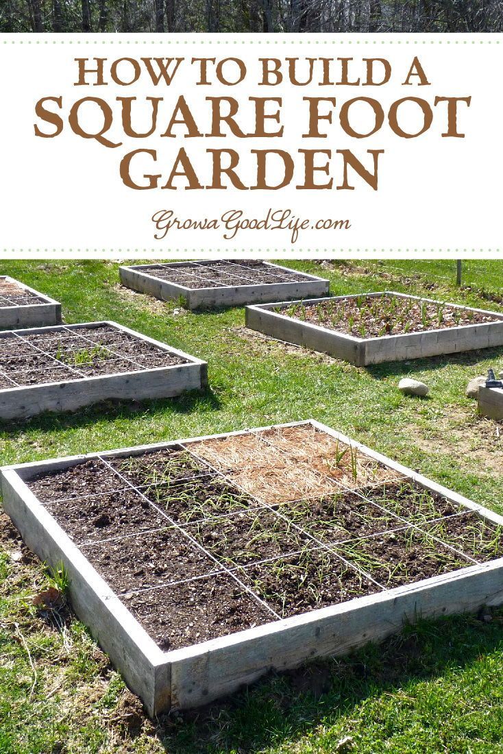 Square Foot Gardening Success