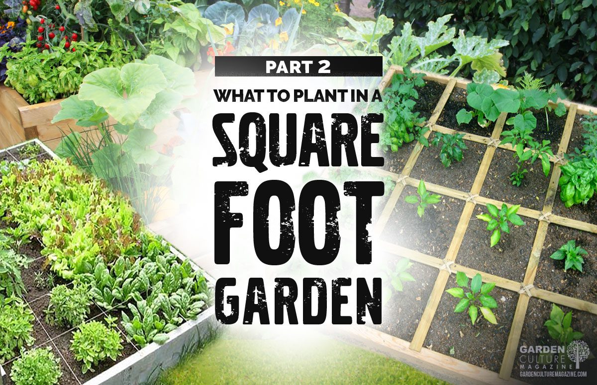 Square Foot Garden Plan Garden Garden Layout Vegetable