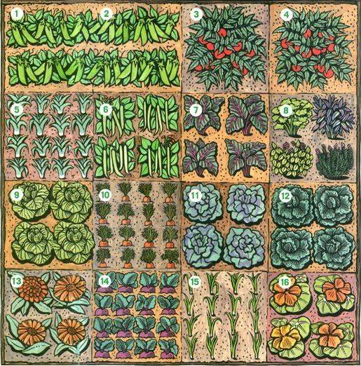 X Square Foot Garden Layout Outdoor Decor Ideas