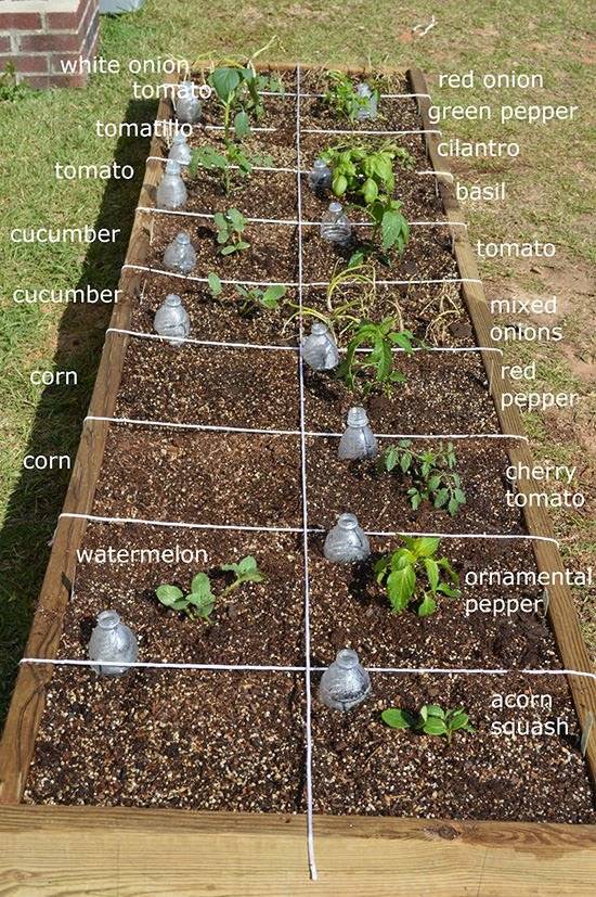 Gardenplan Square Foot Gardening Layout