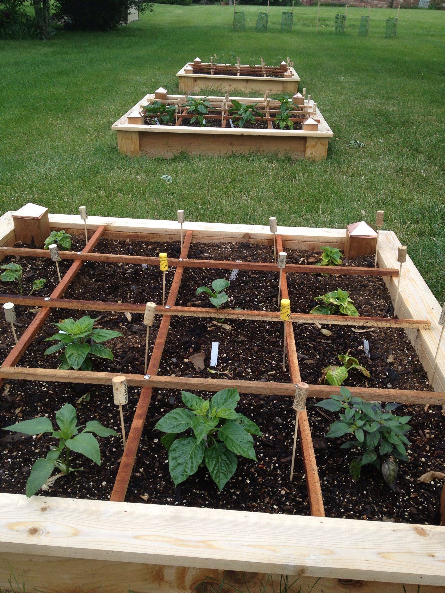 Square Foot Garden Layout Ideas