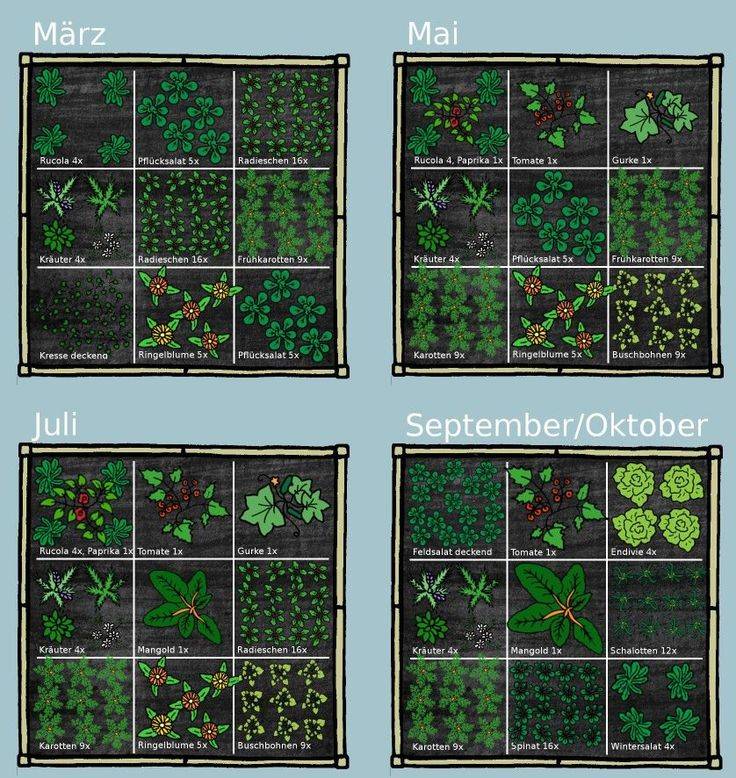 Square Foot Gardening Layout Mouade Agafay