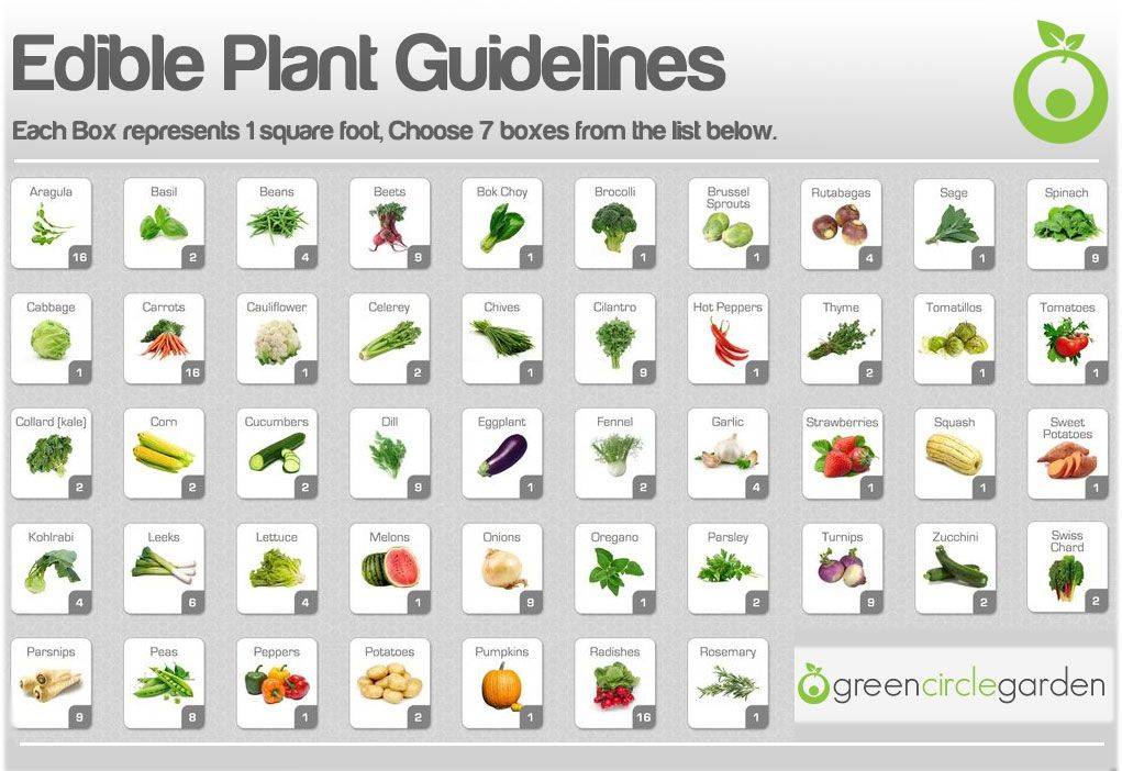 Square Foot Gardening Plant Spacing Guide W Printableshareable Chart