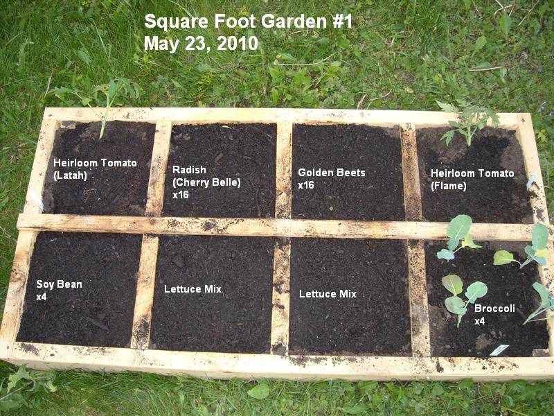 19 Square Foot Garden Spacing Guide Ideas You Cannot Miss SharonSable