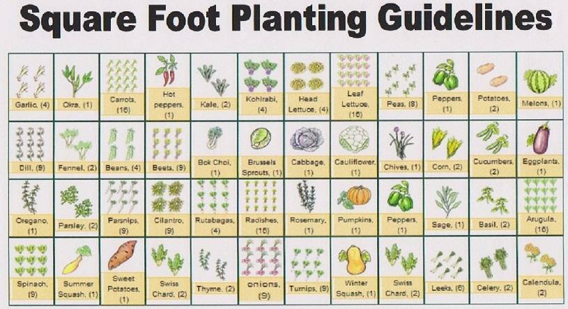 Printable Square Foot Planting Guide