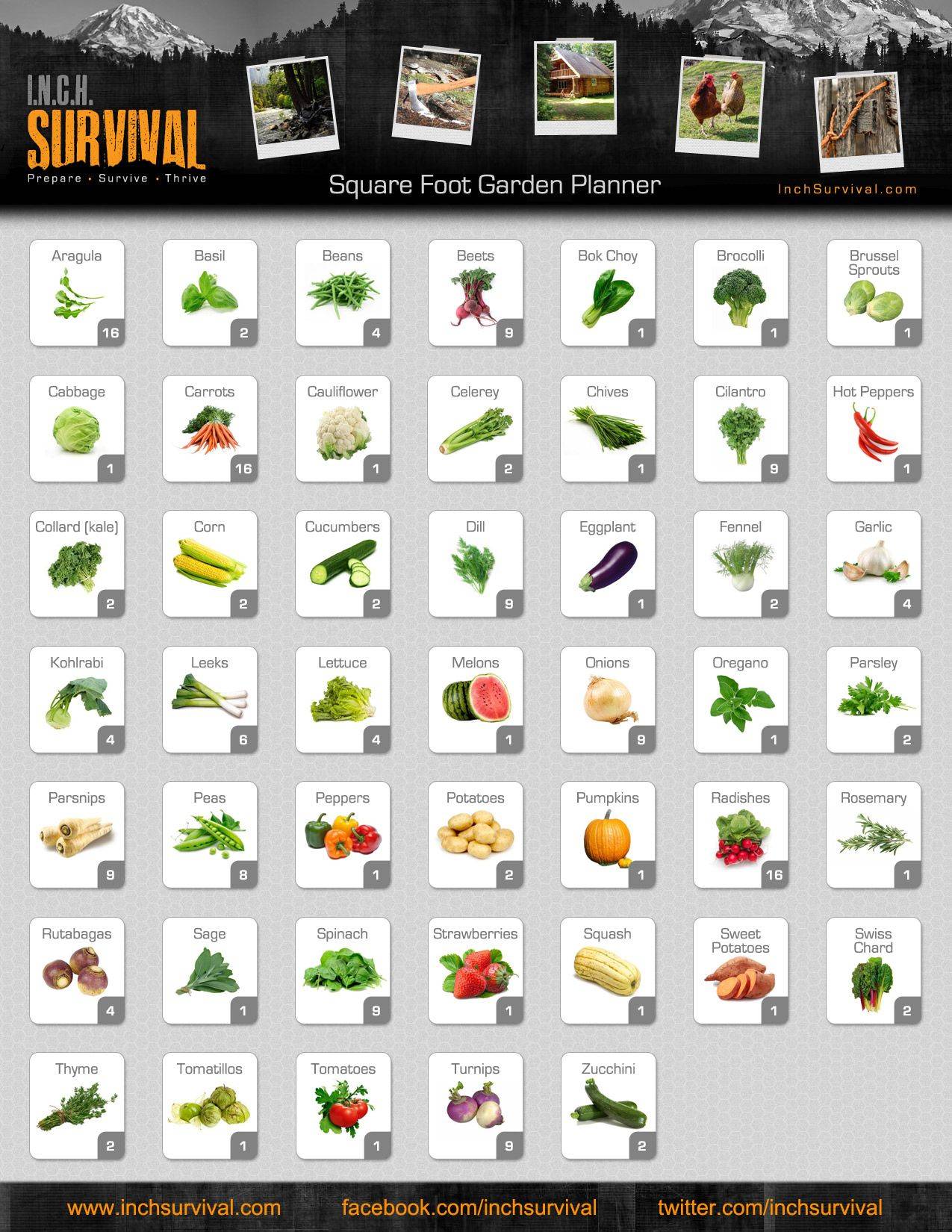 Square Foot Gardening Chart Garden Layout Vegetable