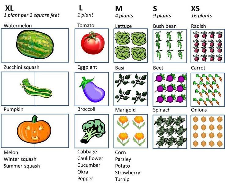 Square Foot Gardening Chart Square Foot Garden Plans