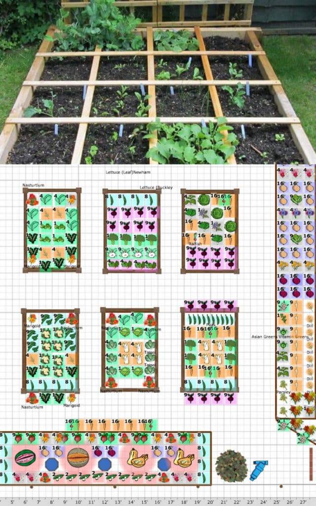 Square Foot Gardening Layout Plans
