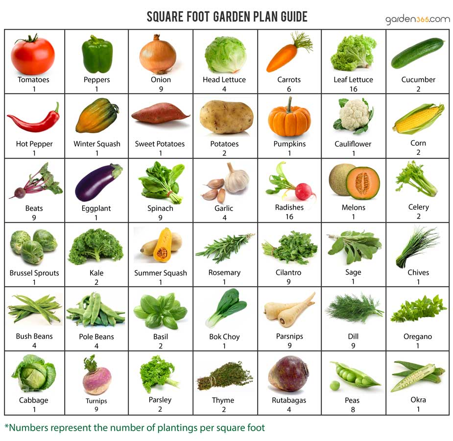 Square Foot Gardening Plant Spacing Guide W Printableshareable Chart