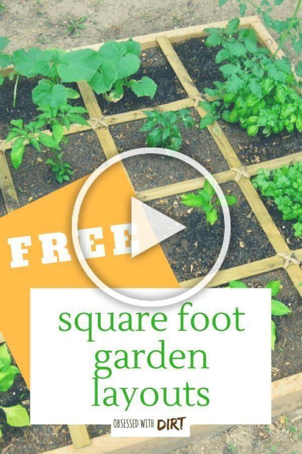 Companion Planting