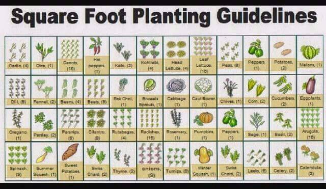 Printable Square Foot Planting Guide