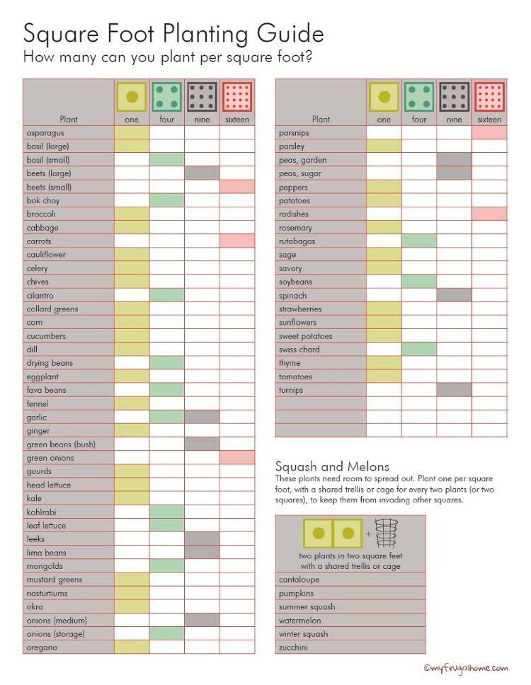 Square Foot Garden Guide