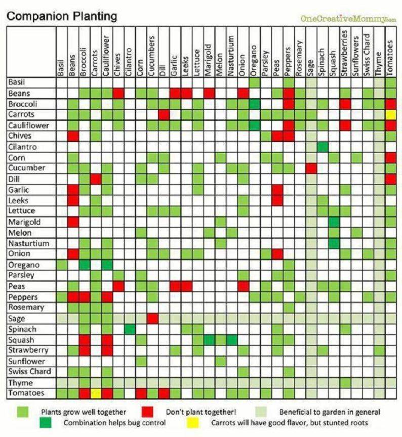 Square Foot Gardening Square Foot Gardening Plans