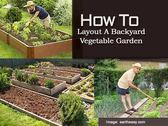 A Successful Vegetable Garden
