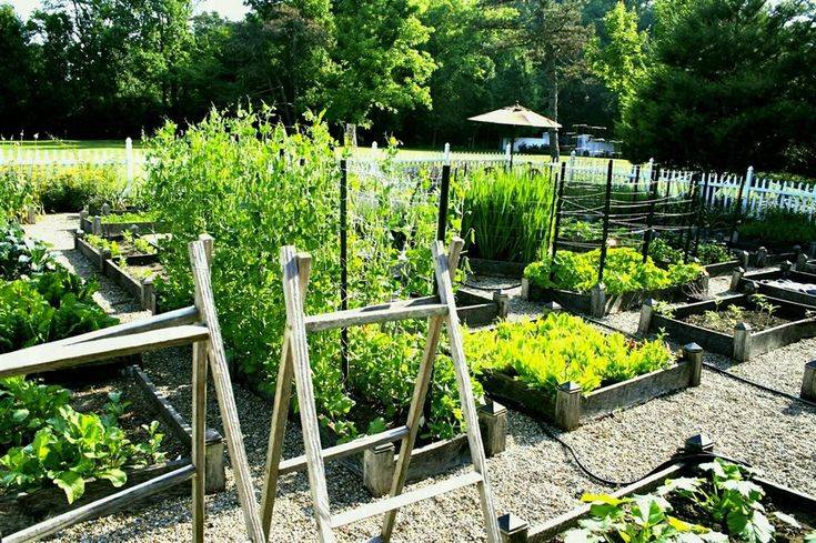 Backyard Garden Layout