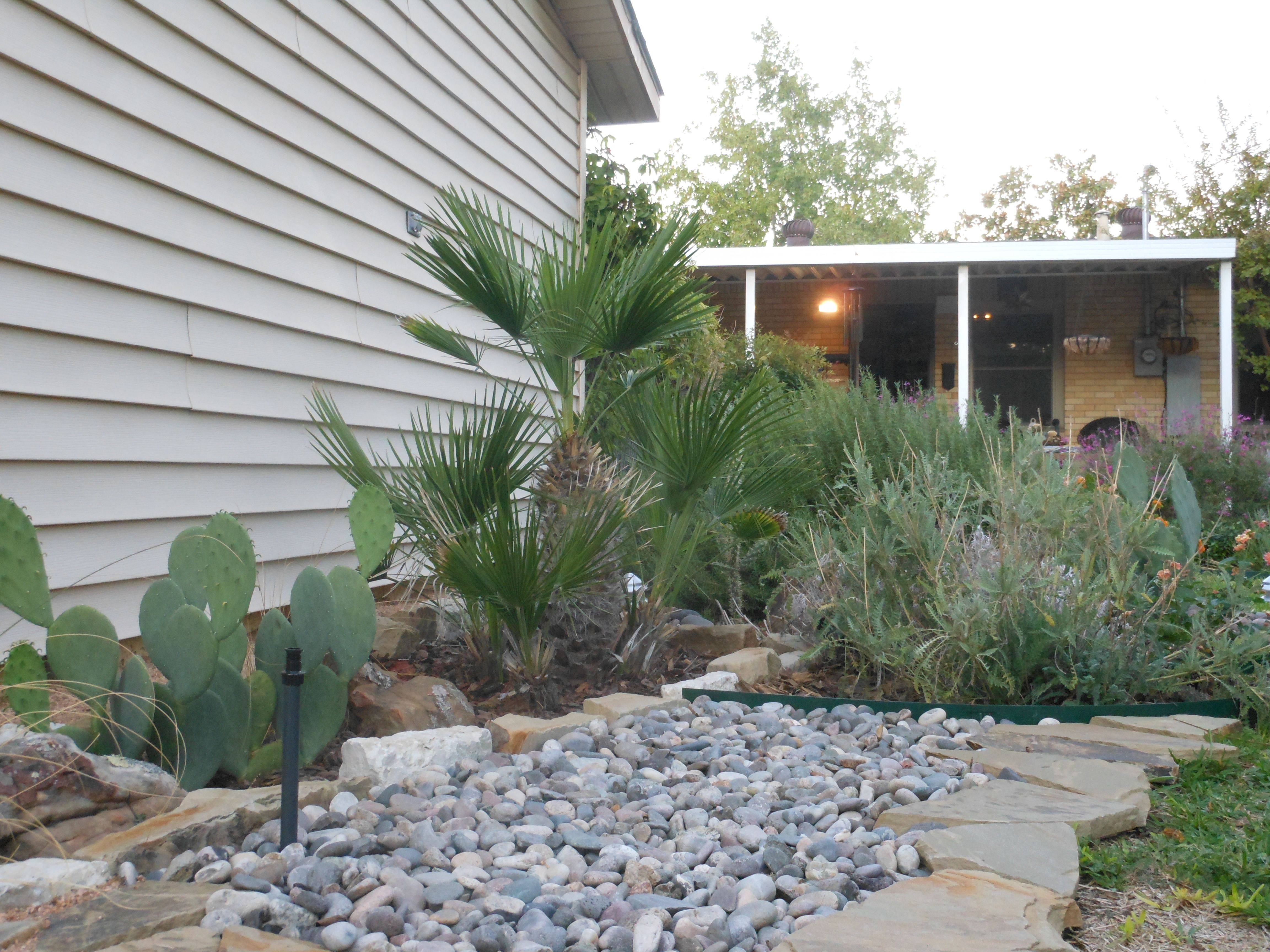 A Droughtfriendly Vegetable Garden Vegetable Garden