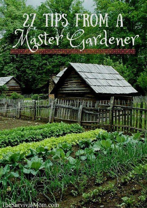 Vertical Gardening Ideas Modern