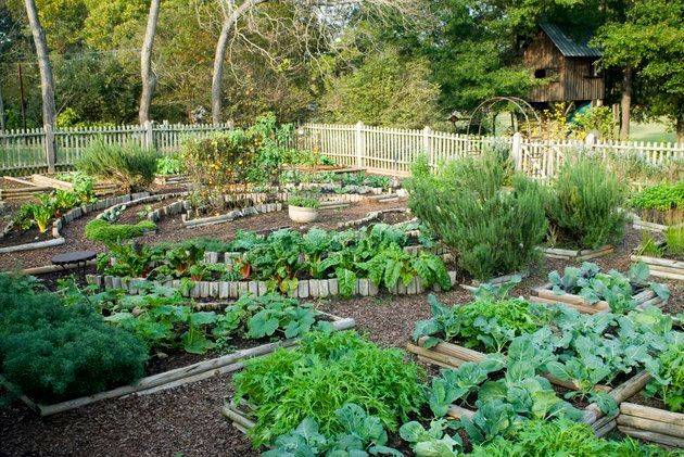 Diy Gardening Hacks Ideas