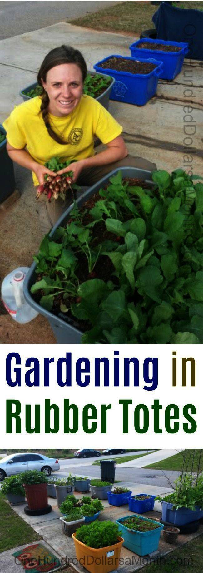 Seating Central Texas Gardener Raised Bed