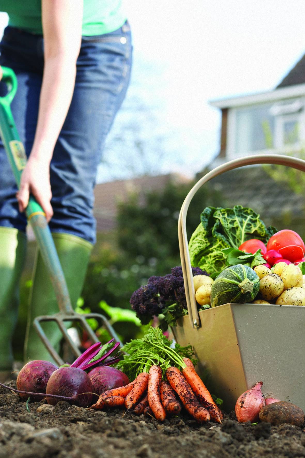 Vegetable And Fruit Gardening Tips