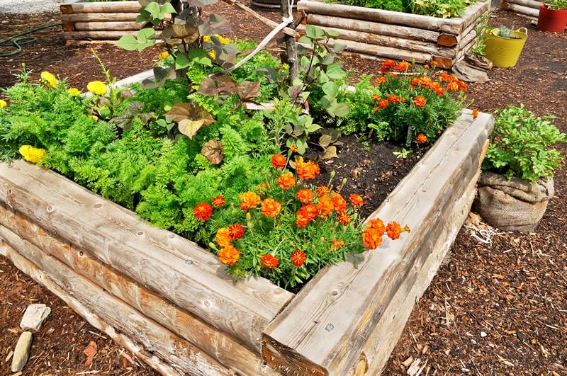Elegant Central Texas Landscaping Ideas