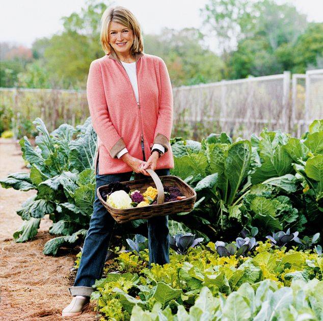 A Familyfriendly Texas Ranch Backyard Vegetable Gardens