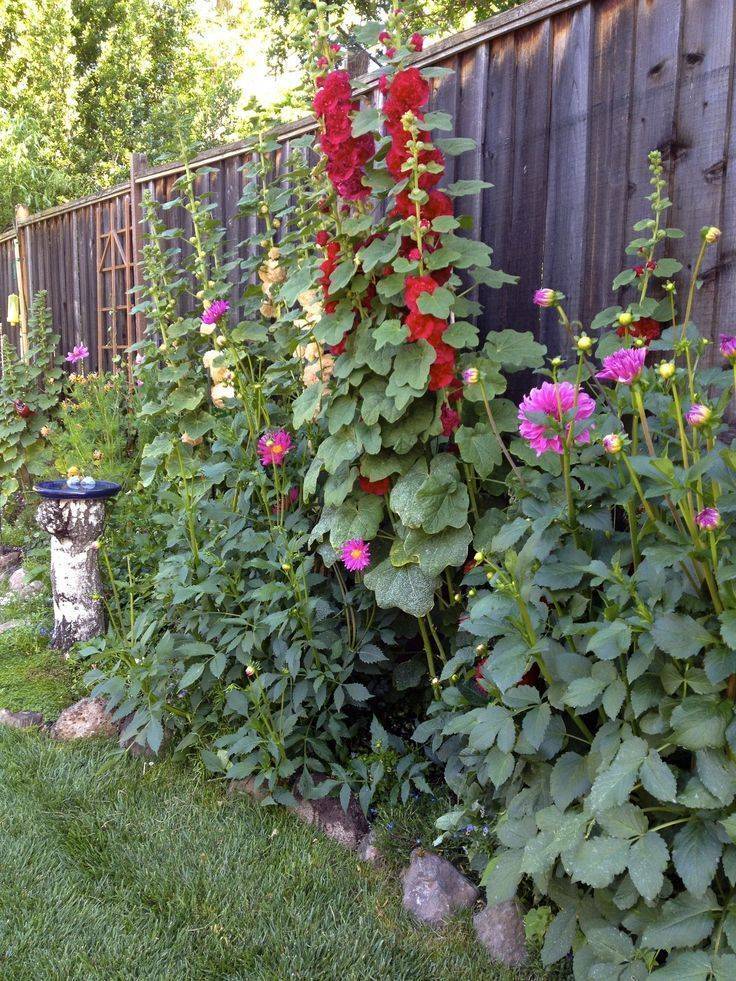 A Familyfriendly Texas Ranch Backyard Vegetable Gardens