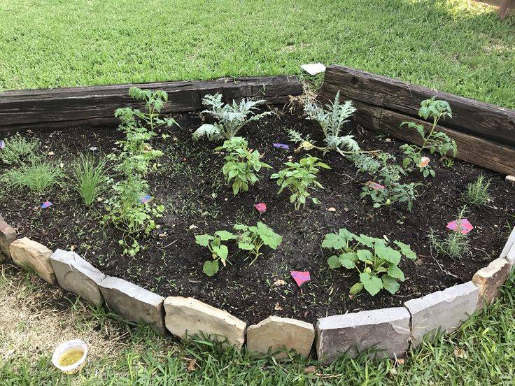 The Gardening Blog