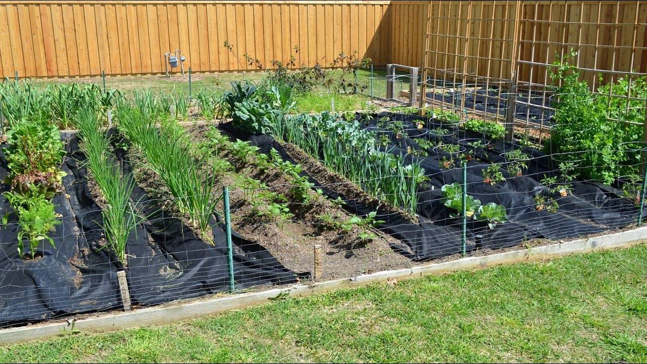 Desert Landscaping Ideas