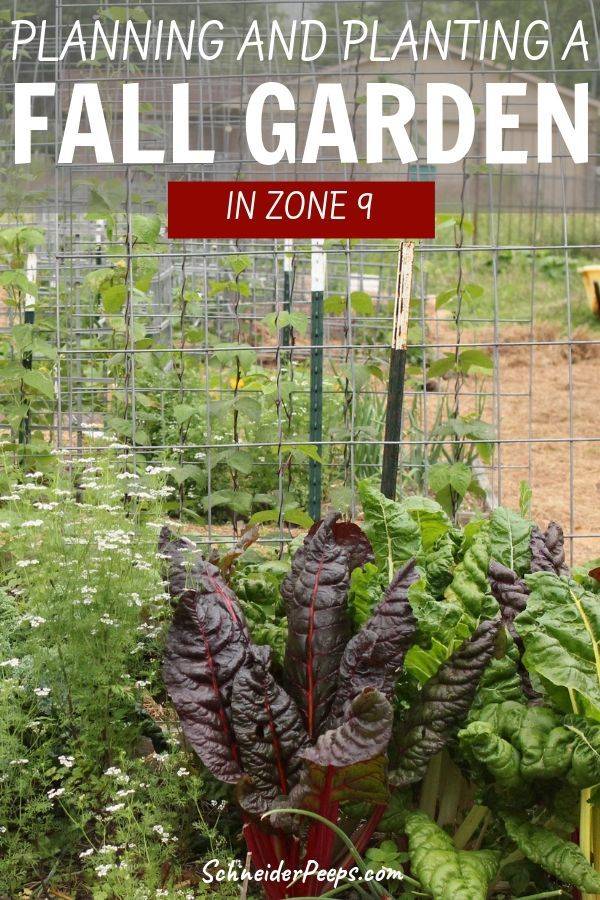 Best Collections Flower Bed Gardening