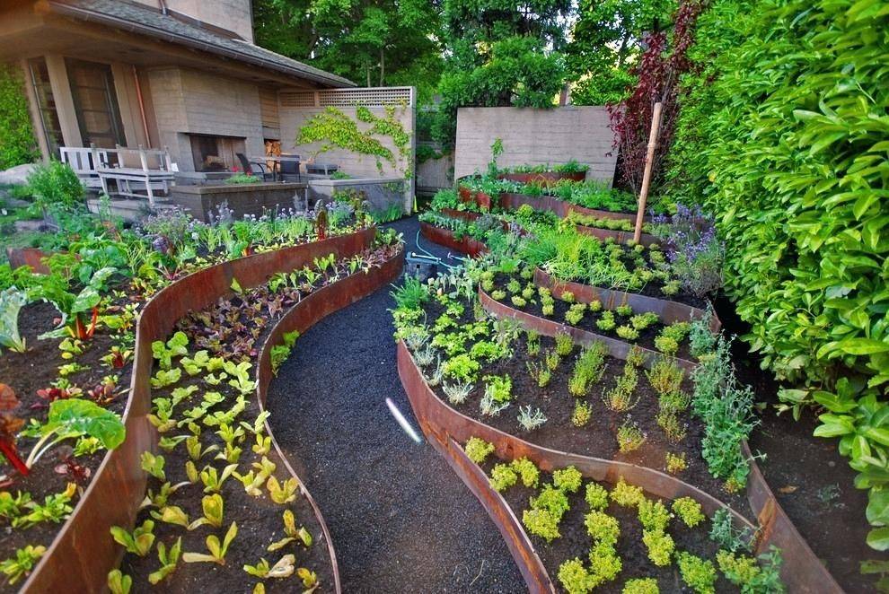 Zone B Vegetable Gardening Tips Spring Vegetable Garden